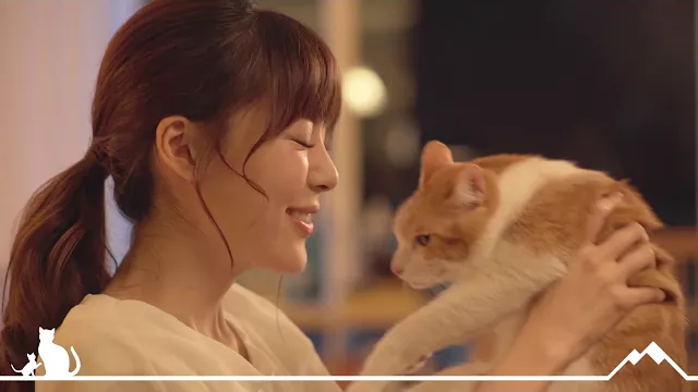 南山人壽 咪咪小花貓【長照篇】