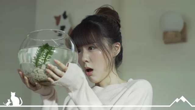 南山人壽 咪咪小花貓【年金篇】